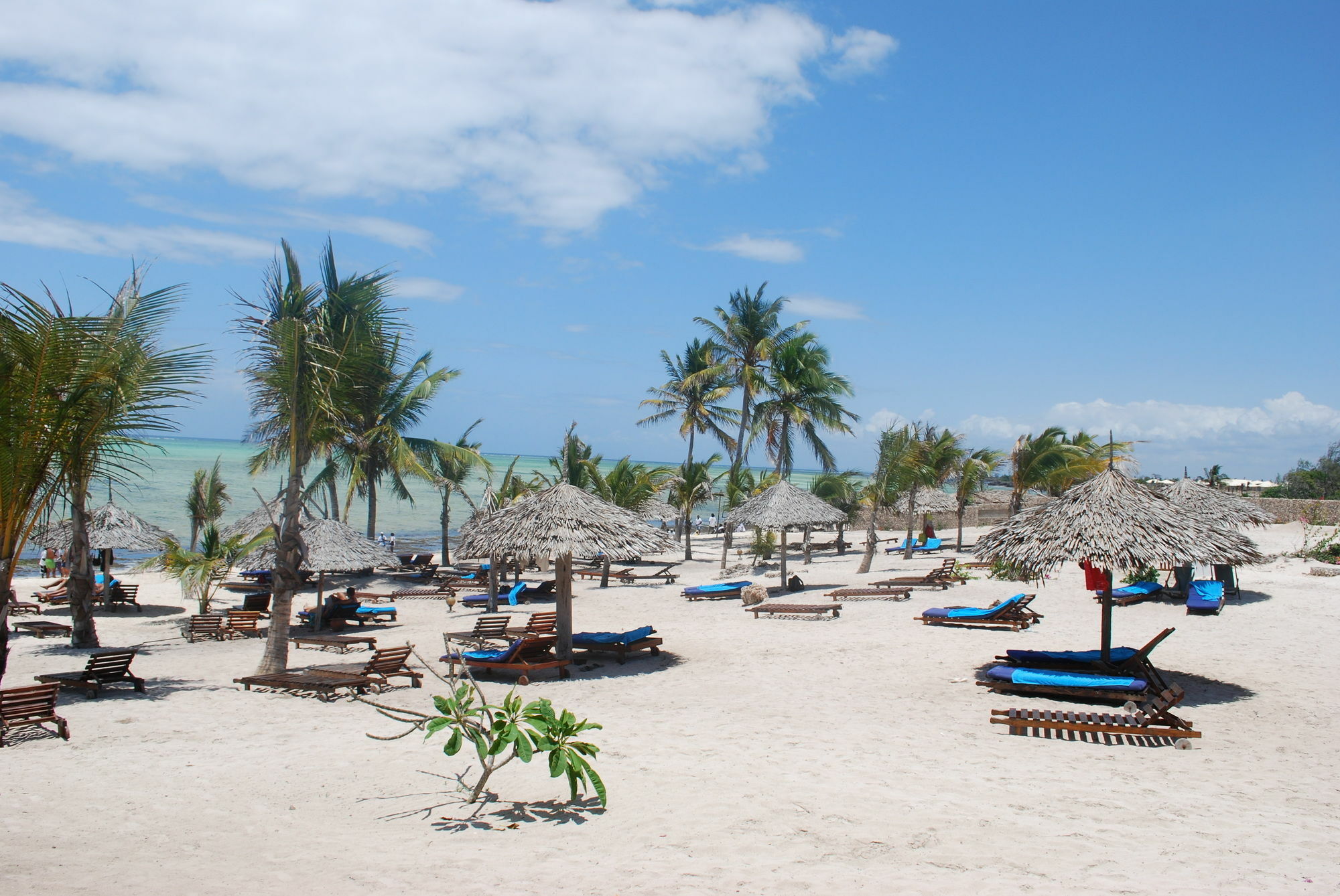 Jumbo Watamu Exterior foto